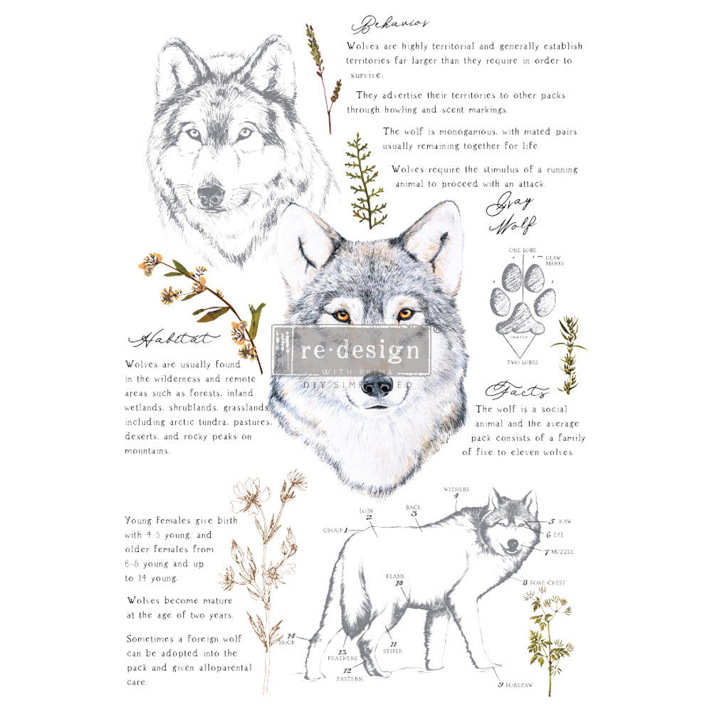 Redesign Decor Transfers® - Gray Wolf