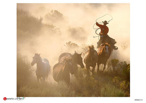 Paper Designs Animals 0025