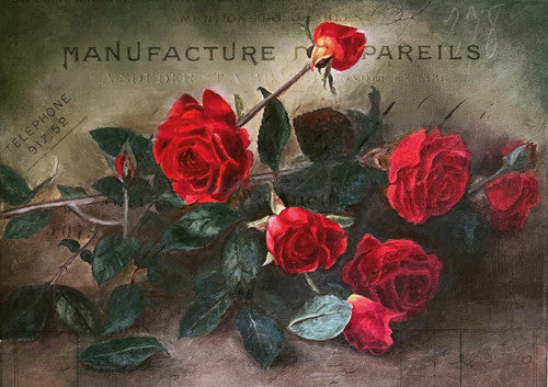 Vellum Paper - Isabella