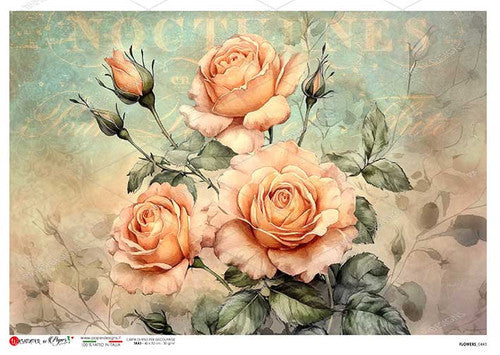 Paper Designs Peach Roses Rice Paper