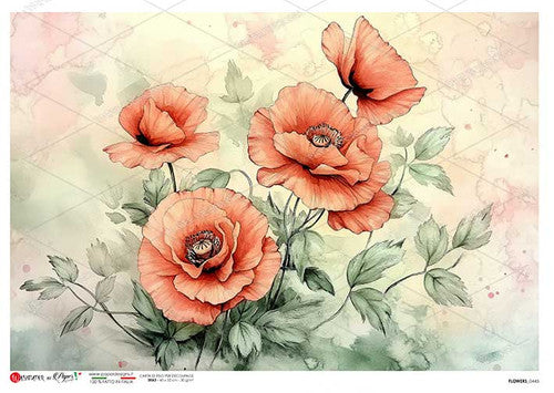 Paper Designs Poppy Bouquet Rice Paper