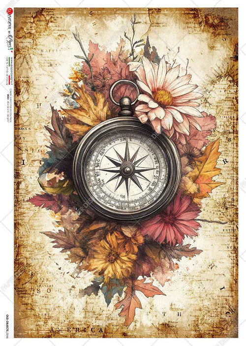 Paper Designs Compass with Autumn Florals Rice Paper