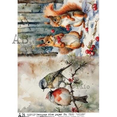 Rice Paper, A4, Winter Squirrels & Birds A4 Rice Paper, Winter Rice Paper, Decoupage Paper, Crafting Rice Paper, Squirrels, Animal Lovers