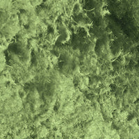 Moss Effect Paste