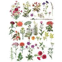 Re.Design Decor Transfers - Floral Collection Transfer, Wall Flower Transfers