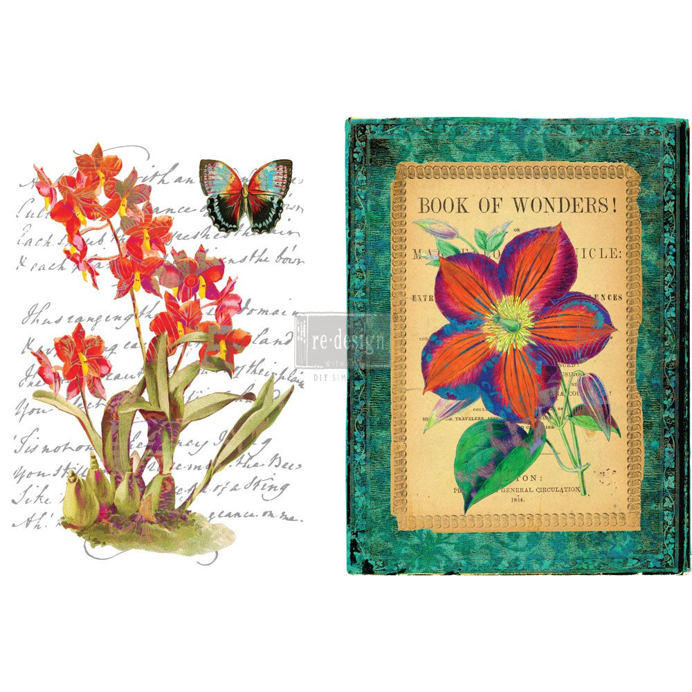 Re.Design Decor Transfers - Wondrous Flora