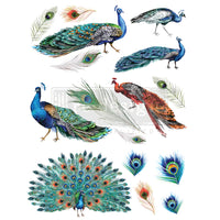 Redesign Decor Transfers® - Peacock Dreams size 24"x33", Large Bird Transfers