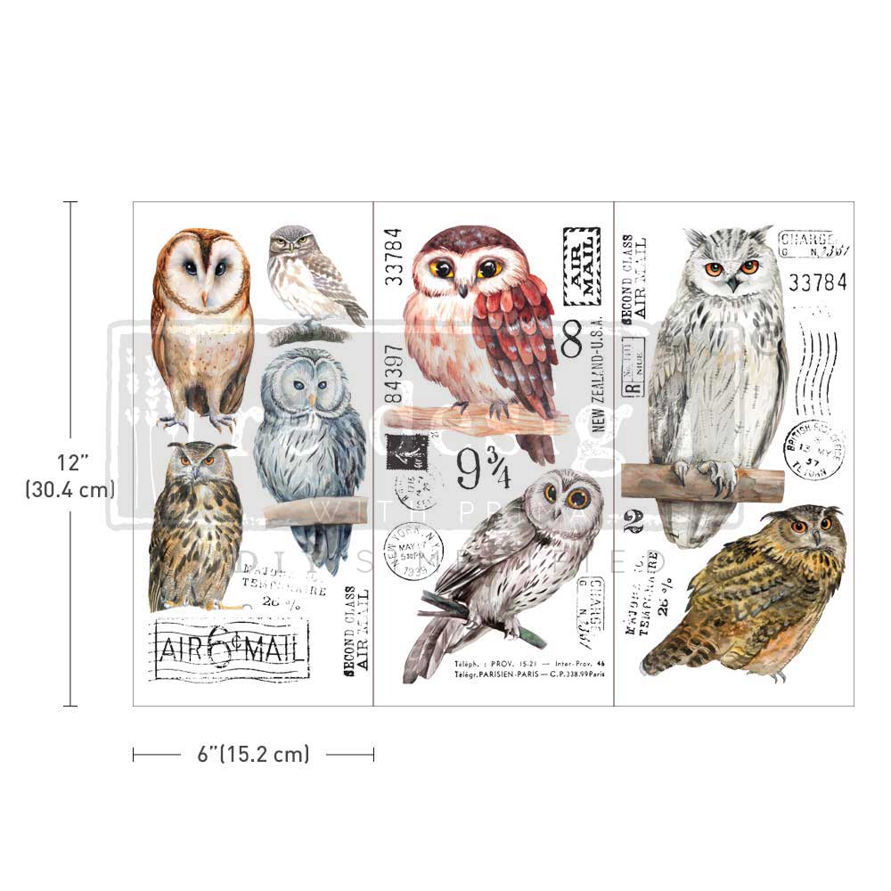 Owl Transfers, Small Transfers - Owl - 3 sheets, 6"x12