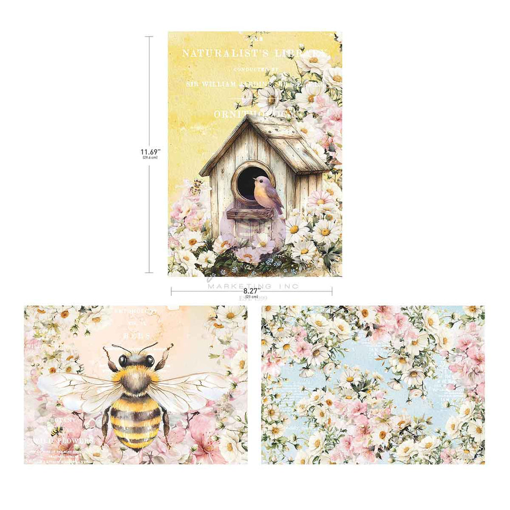 Among the Wildflowers Collection A4 Decoupage