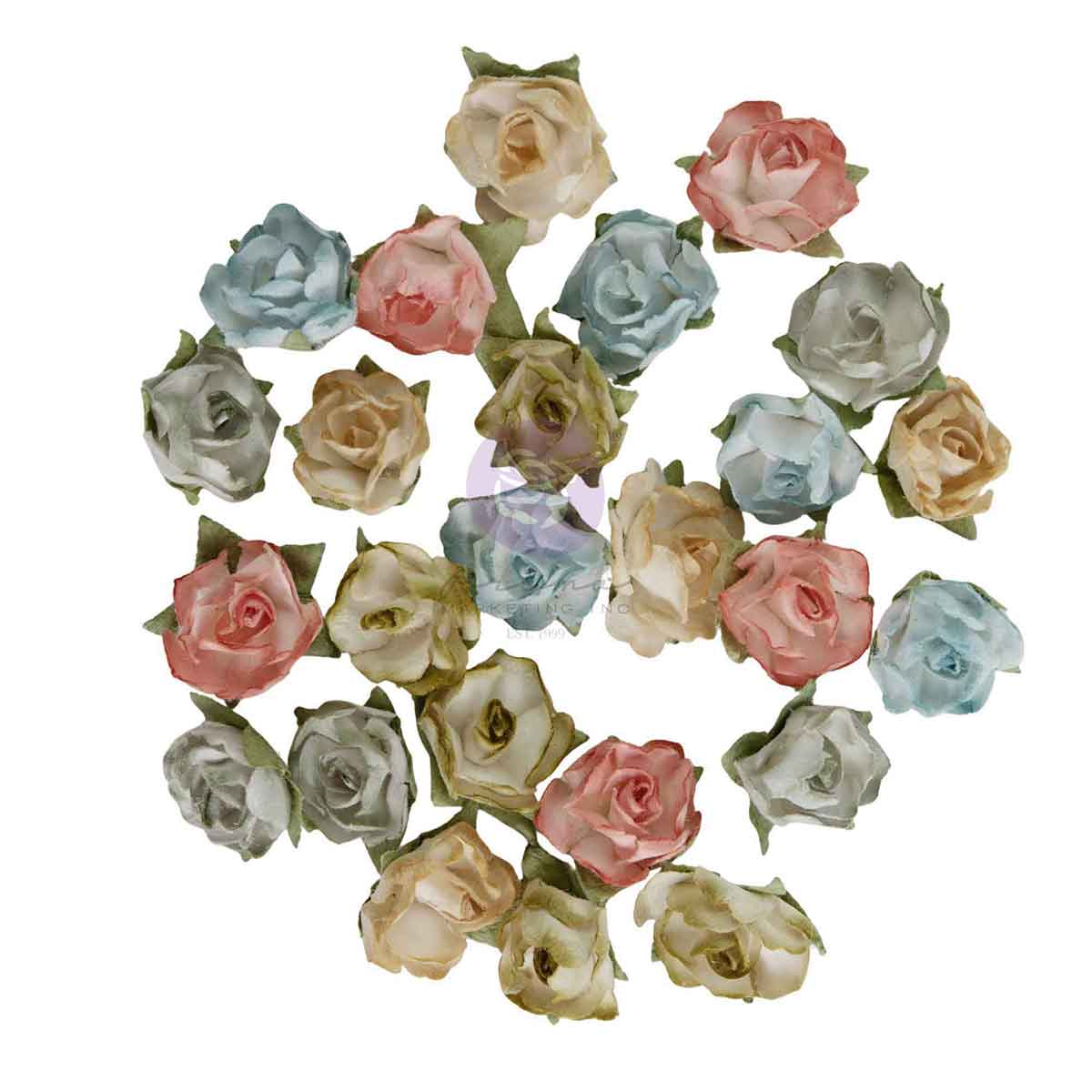 Homegrown Collection Flowers - Palette Blooms