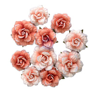 Homegrown Collection Flowers - Blush Harvest