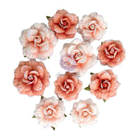 Homegrown Collection Flowers - Blush Harvest