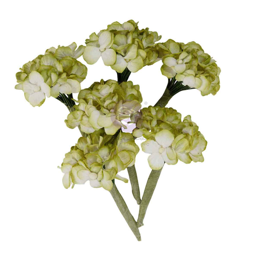 Homegrown Collection Flowers - Garden Hydrangea Mist
