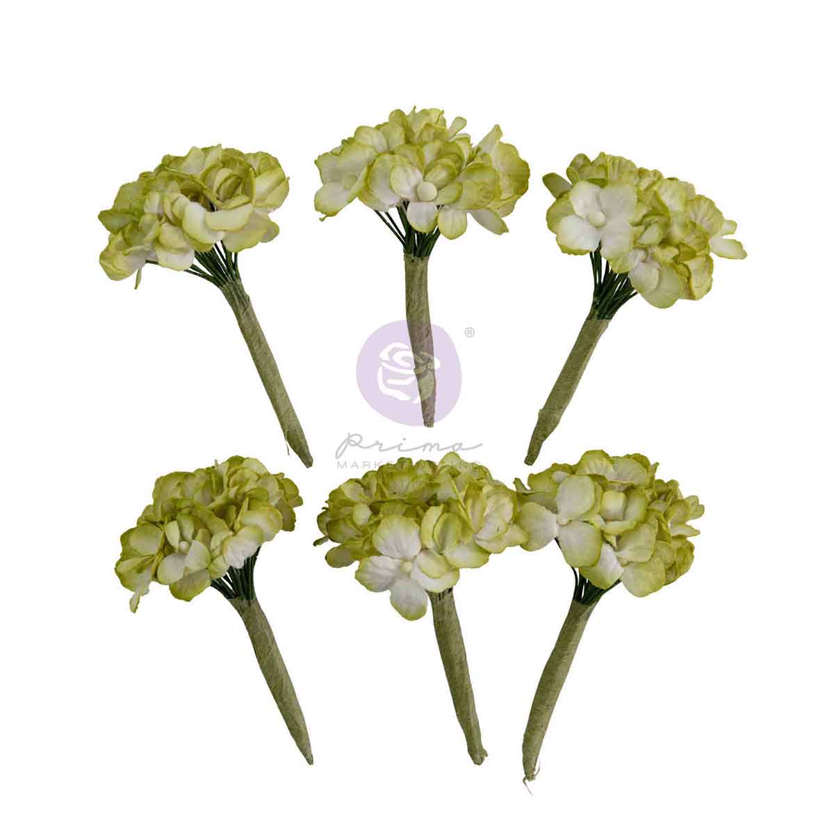 Homegrown Collection Flowers - Garden Hydrangea Mist