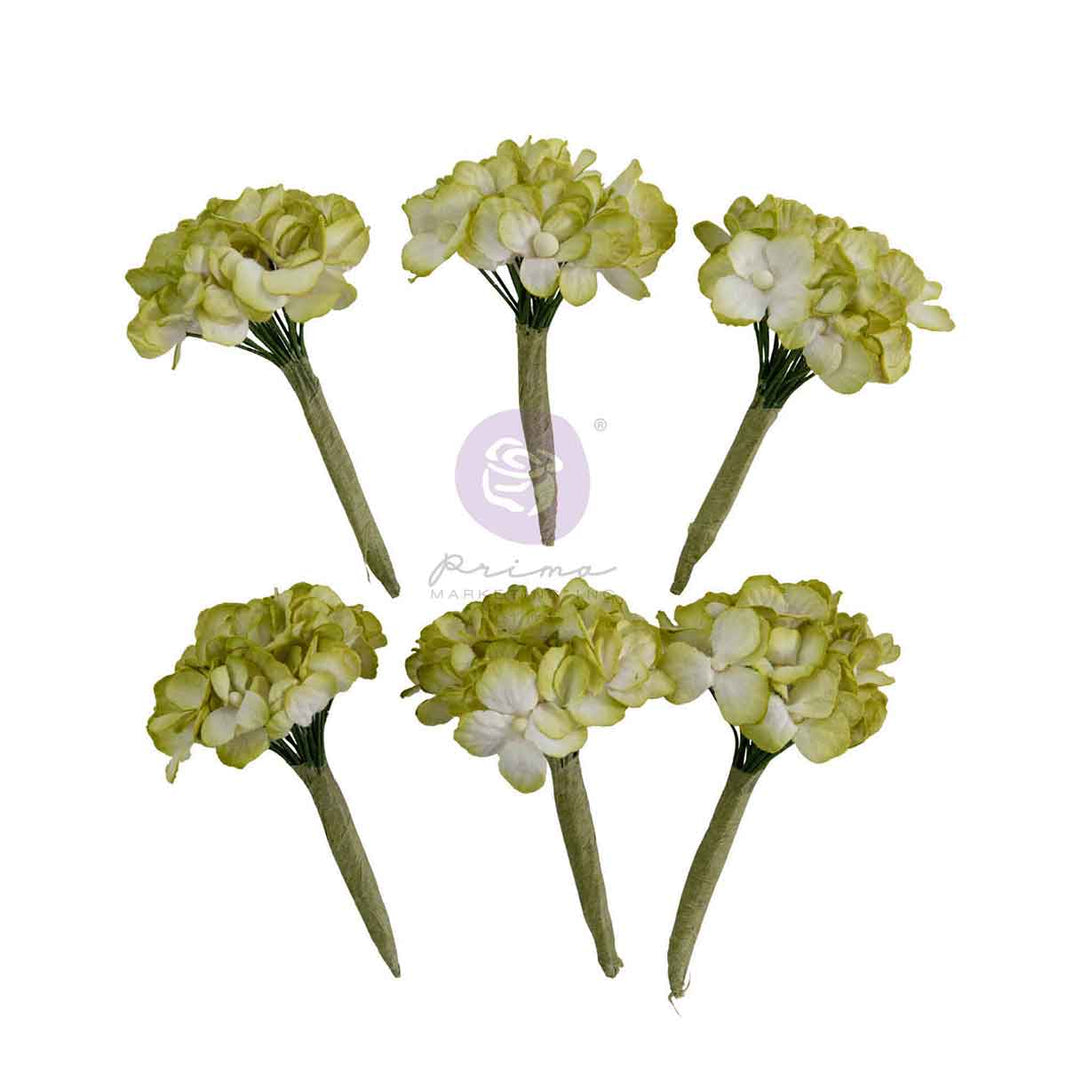 Homegrown Collection Flowers - Garden Hydrangea Mist