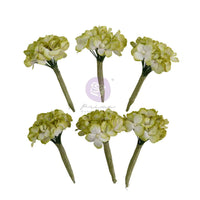 Homegrown Collection Flowers - Garden Hydrangea Mist