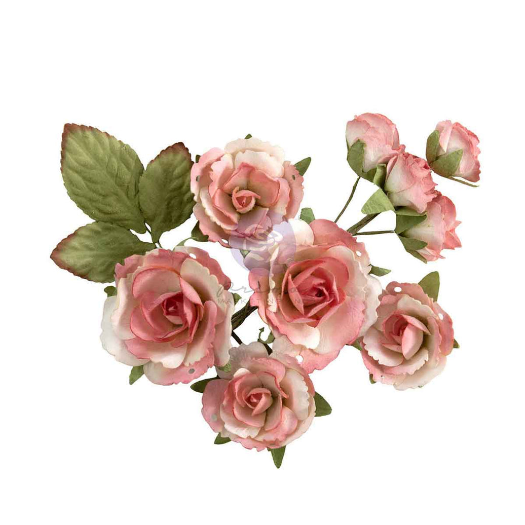 Homegrown Collection Flowers - Garden Rose Blush