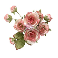 Homegrown Collection Flowers - Garden Rose Blush