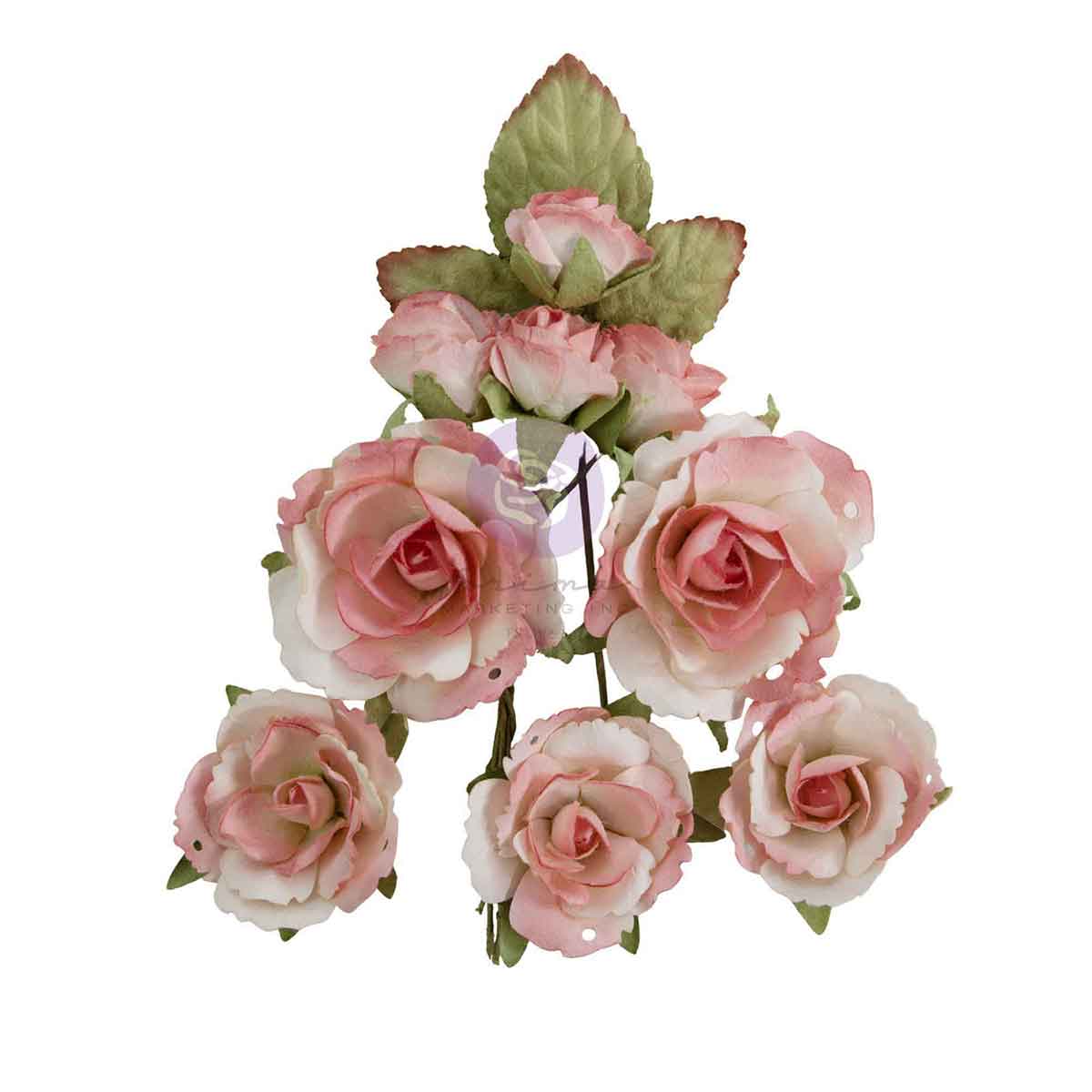 Homegrown Collection Flowers - Garden Rose Blush