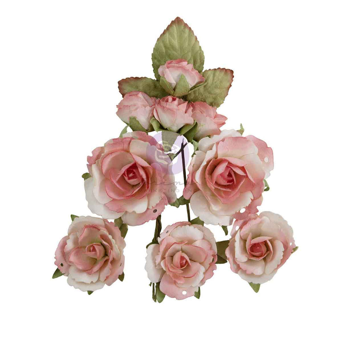 Homegrown Collection Flowers - Garden Rose Blush