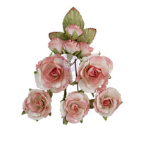 Homegrown Collection Flowers - Garden Rose Blush