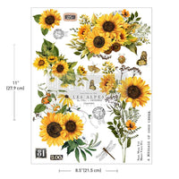 Sunflower Transfers, H2O Transfers Single Sheet - Rustic Amber Petals