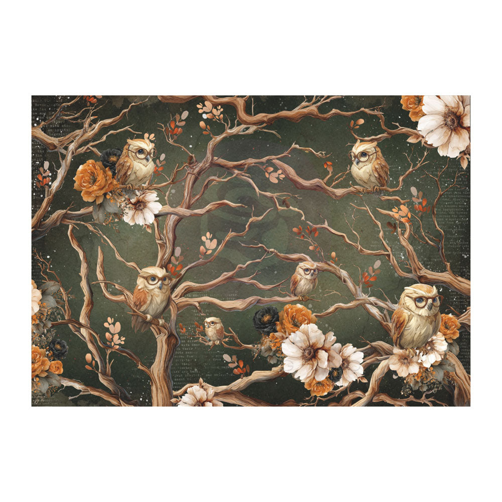 Made of Magic Collection A3 Decoupage