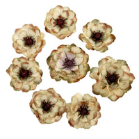 Made of Magic Collection Flowers - Enchanted Grove