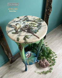 Decor Transfers® - Aviary Elegance