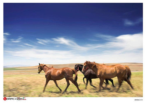 Paper Designs Animals 0024