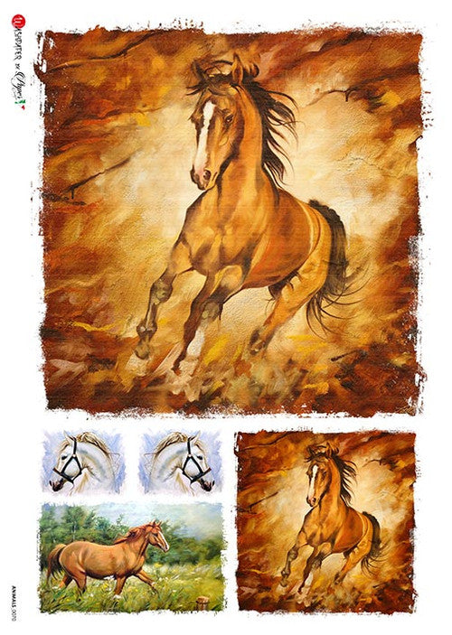 Paper Designs Animals 0070