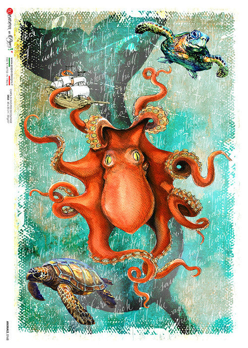 Paper Designs Octopus and Sea Turtles Animals 0168