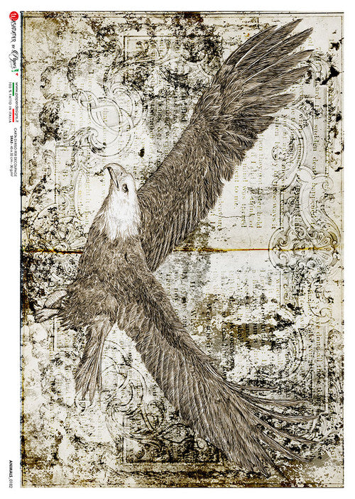 Paper Designs Flying Eagle Animals 0182