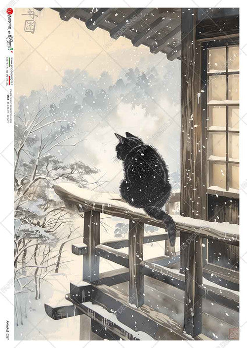 Paper Designs Cat on a Ledge in the Snow Rice Paper