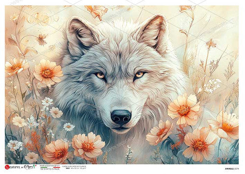 Paper Designs Soft Floral Bear Rice Paper