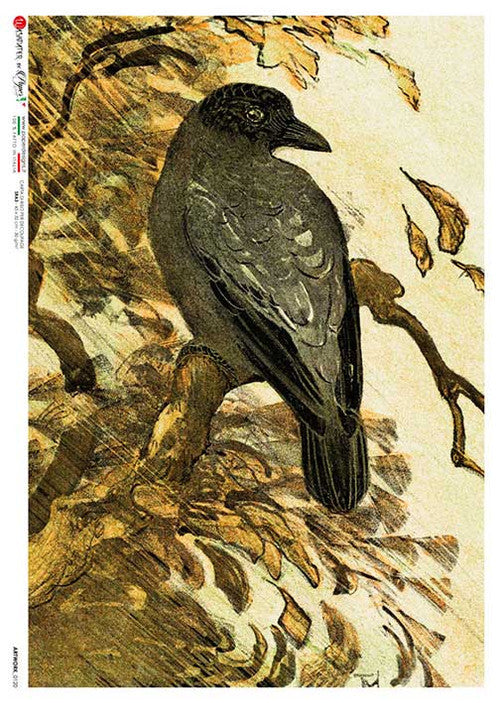 Paper Designs Hoytema Black Raven Rice Paper PD ARTWORK 0120