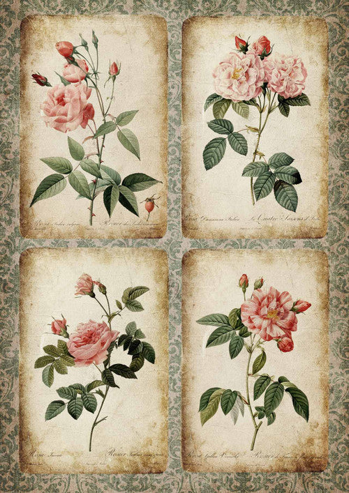 Rose Cards