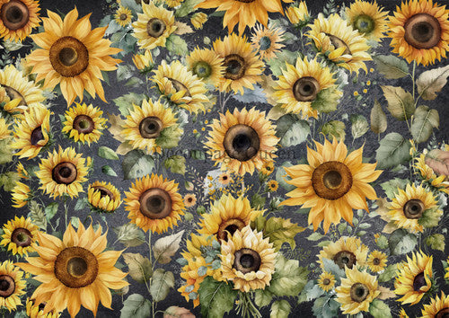 Field of Sunflowers, rice paper design by Decoupage Queen, arts & entertainment > hobbies & creative arts > arts & crafts > art & crafting materials > art & craft paper > drawing & painting paper, for decoupage and crafting