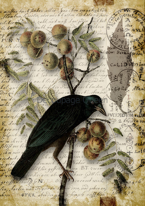 Raven Grimore 3, rice paper design by Decoupage Queen, arts & entertainment > hobbies & creative arts > arts & crafts > art & crafting materials > art & craft paper > drawing & painting paper, for decoupage and crafting