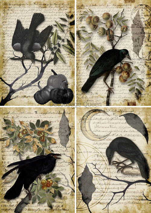 Vellum Paper -  Raven Grimoire 4 Pack