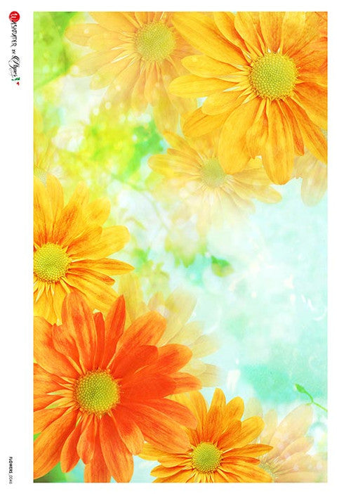 Paper Designs Pot Marigold