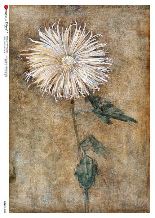 Paper Designs Rice Paper Dandelion PD FLOWERS-0382