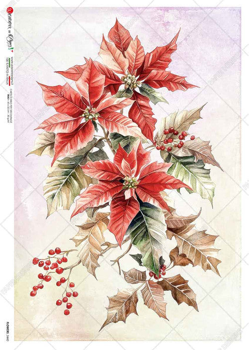 Paper Designs Festive Poinsettia Arrangement Rice Paper
