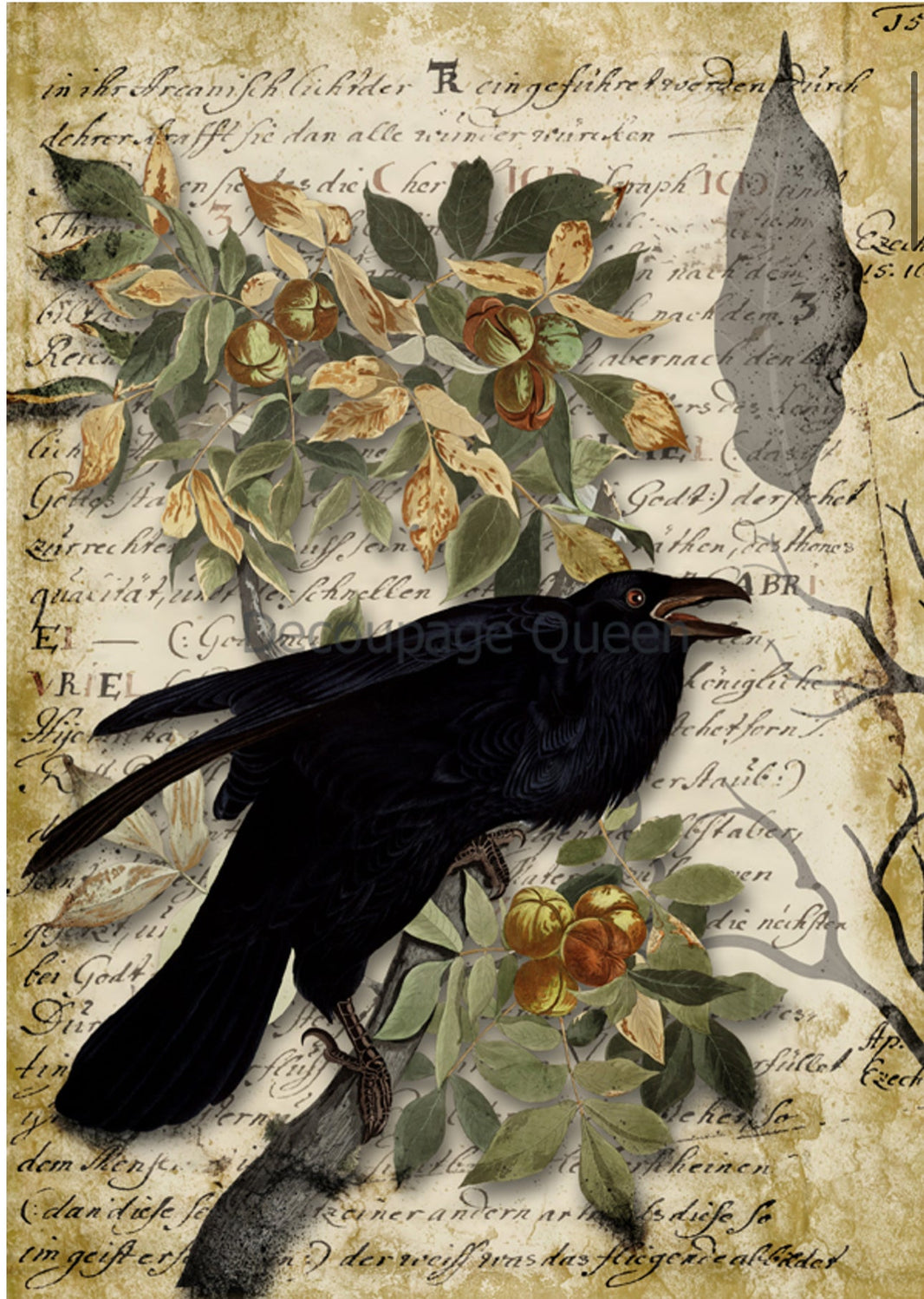 Raven Grimore II, rice paper design by Decoupage queen, arts & entertainment > hobbies & creative arts > arts & crafts, for decoupage and crafting