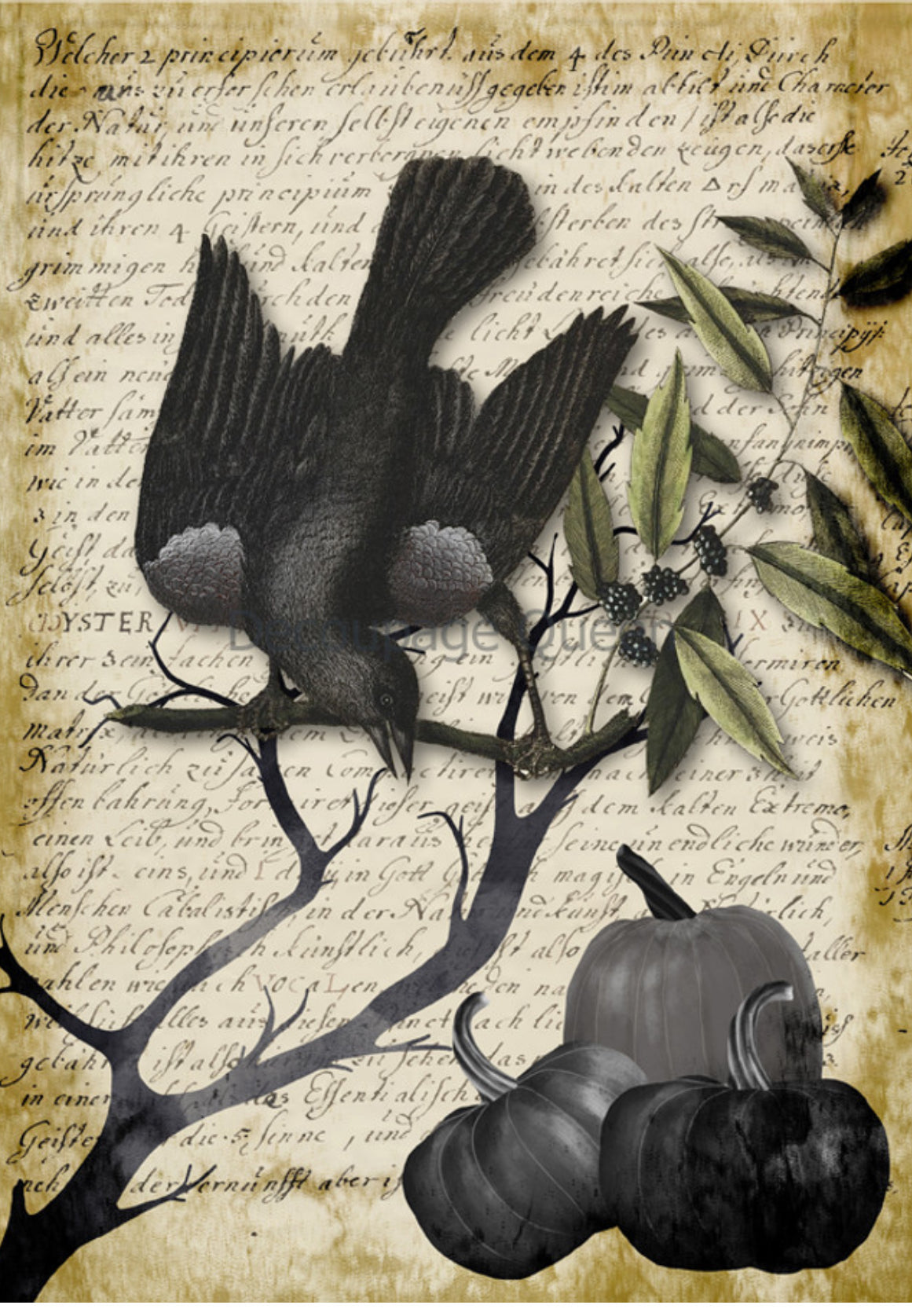 Raven Grimore 1, rice paper design by Decoupage queen, arts & entertainment > hobbies & creative arts > arts & crafts, for decoupage and crafting