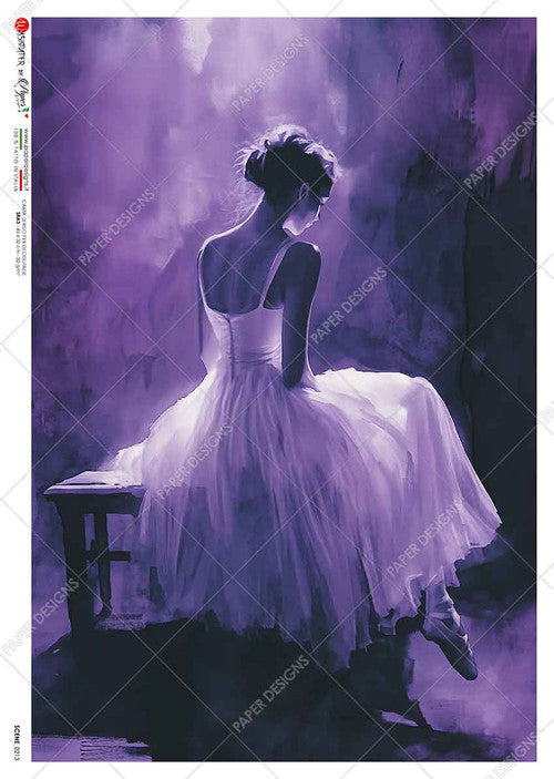 Paper Designs After the Performance I Rice Paper