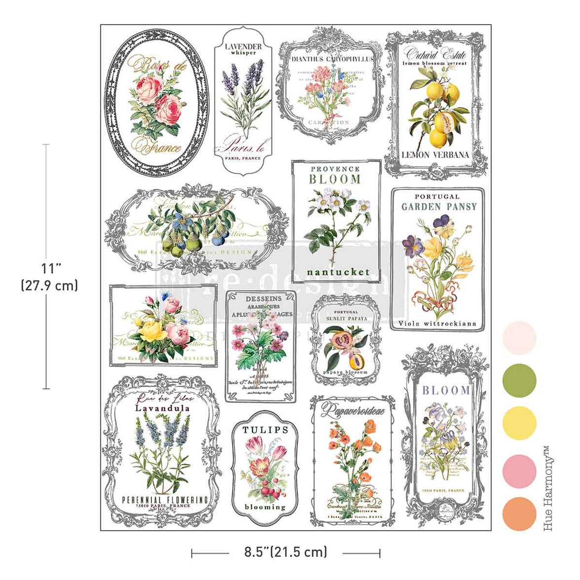 H2O Transfers Single Sheet - Whispers & Petals