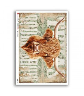 Rustic Highland Cow Portrait