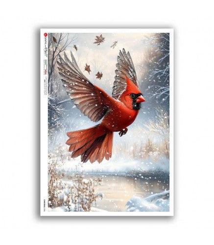 Cardinal in Flight