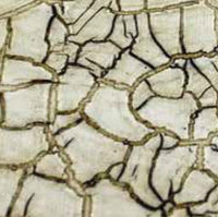 Crackle Varnish Classic 2 Components Set